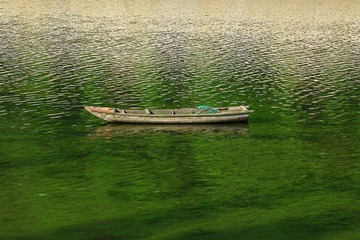 _MG_8607.JPG