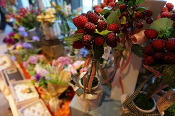 DSC00361.JPG