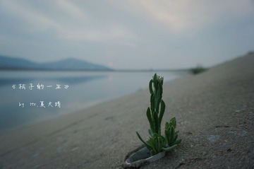 DSC00166_.jpg