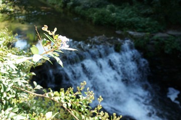 DSC01531.JPG