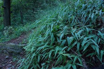 DSC01469.JPG