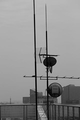 公司楼顶