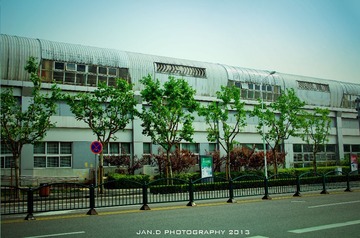 IMG5-2.jpg