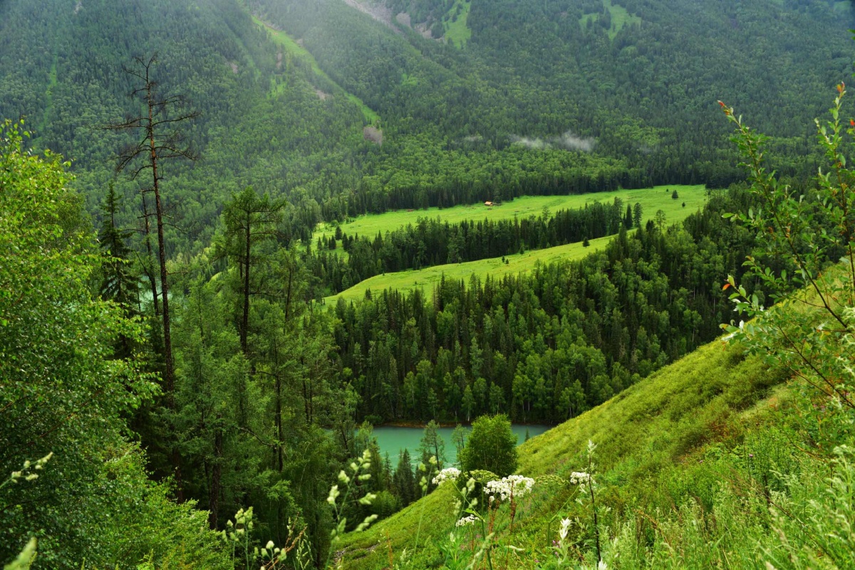 摄于新疆阿勒泰喀纳斯风景区