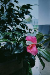 8E817A99-308E-48BC-A799-610099FB3118/L0/001