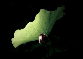 _IGP9053