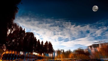 _IGP3230-编辑-2.jpg