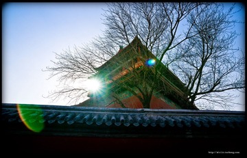 _DSC4682-编辑.JPG