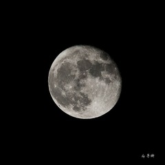 _IGP3713.jpg