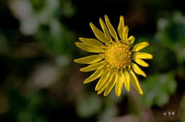 _IGP0684.jpg