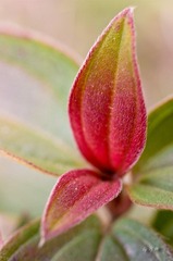 _IGP0637.jpg