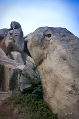 _IGP0608.jpg
