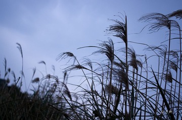 _IGP0731.jpg
