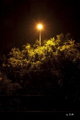 _IGP3442