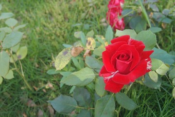 P5110069_副本_副本.jpg
