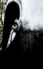 “DSC_0034”为智能对象-1.jpg
