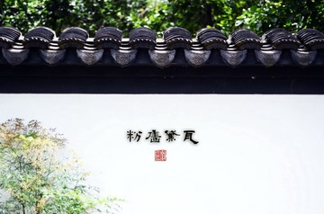 DSC_3937.jpg
