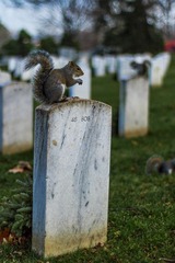 IMG_0728 as Smart Object-1.jpg
