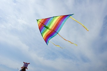 C90A5056-06F8-4D12-ABC4-8E45F2E3A453/L0/001