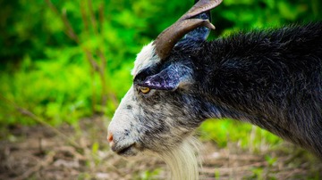 DSC07505-1.jpg