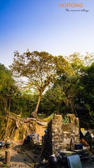 huitong DSC00664-1