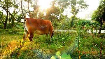 huitong -nvDSC00720