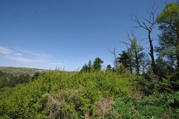 DSC_8939.JPG