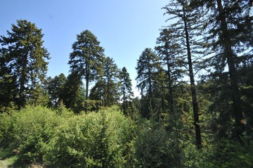 DSC_8943.JPG
