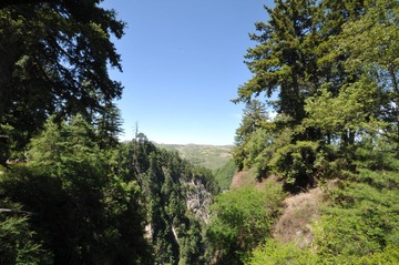 DSC_8950.JPG