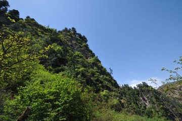 DSC_9047.JPG