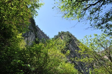 DSC_9050.JPG