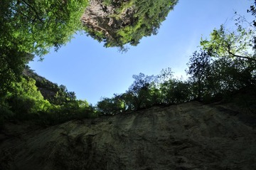 DSC_9100.JPG