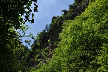 DSC_9104.JPG