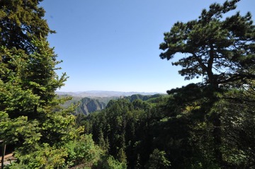 DSC_8954.JPG