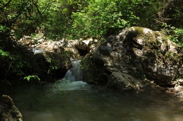 DSC_9083.JPG