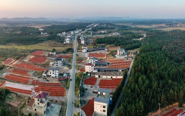 _4171051