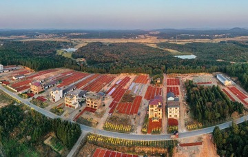 _4171052