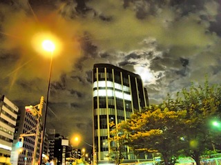 P5240391.JPG