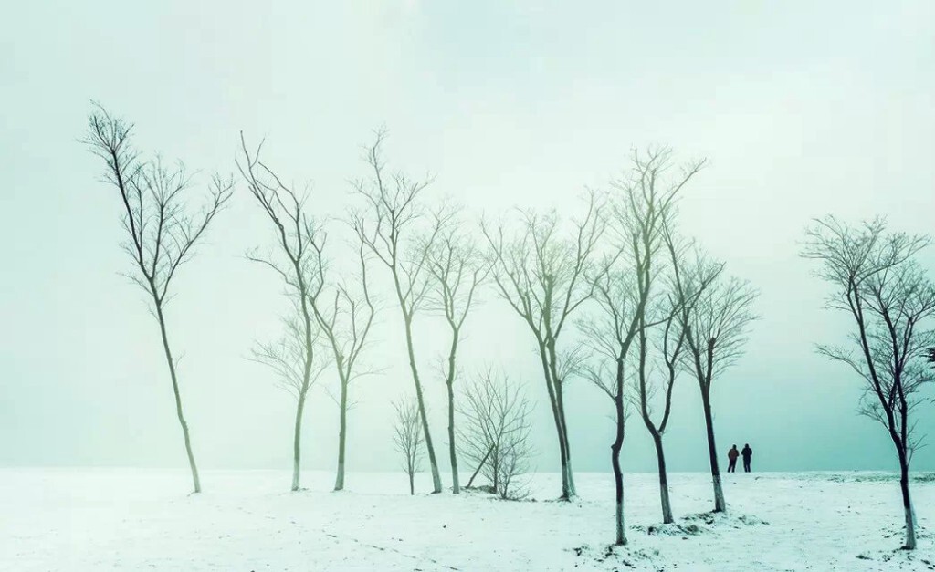 2015，南京，那场雪。。。。。。