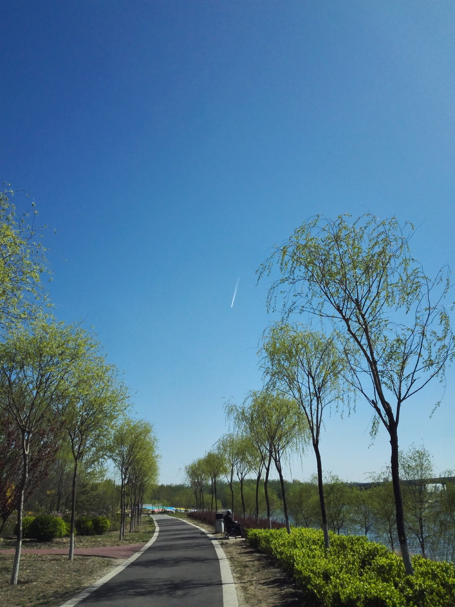 晴空万里