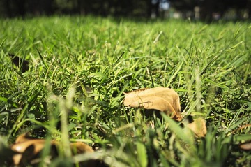 PsRAWJPG_DSC01148.jpg