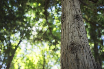 PsRAWJPG_DSC01150.jpg