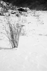 辛卯雪 III