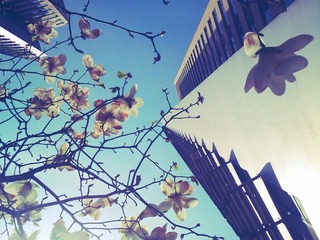 C360_2011-04-02 12-18-07