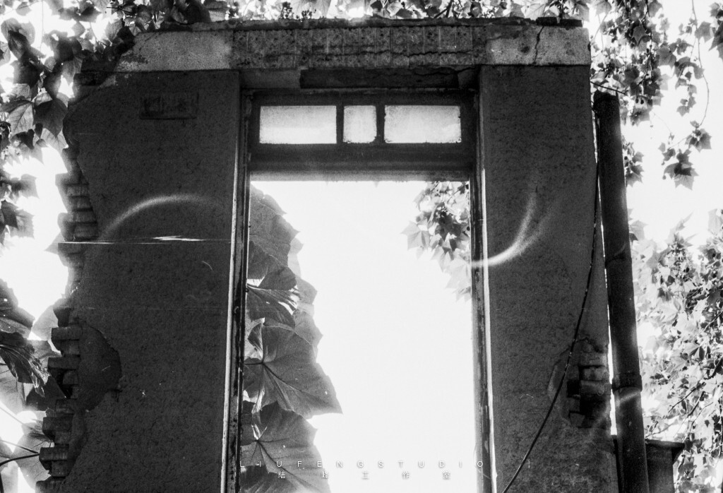 【高尔基路】<br />
相机:尼康F3HP+Ai50mm1.4 <br />
胶卷:Fomapan100
