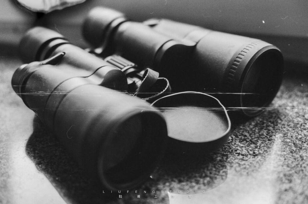 【望远镜】<br />
相机:尼康F3HP+Ai50mm1.4 <br />
胶卷:Fomapan100