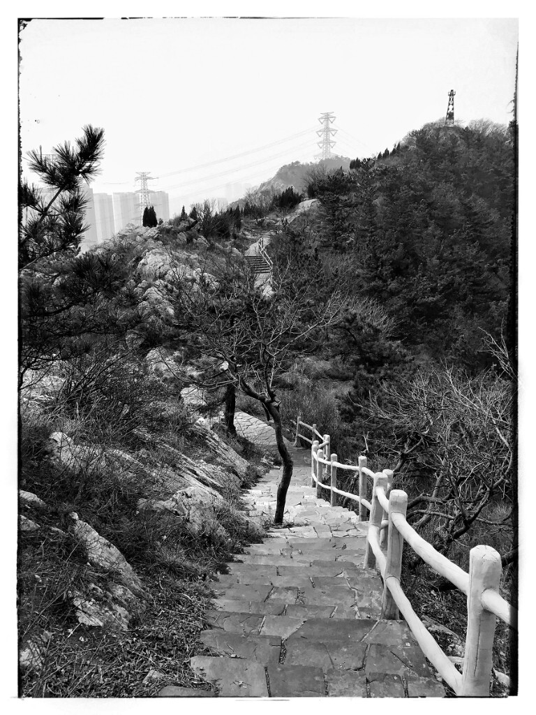 iPhone7Plus拍摄，Snapseed软件做的后期调整。拍摄于大连富国公园。<br />
几年前拿着佳能的入门单反1100D在这个角度也拍过，隔了这么久用iPhone也拍一张，巧合的是两个设备像素都是1200万像素。