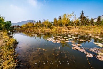 秋天，拍张照片吧