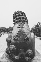 寂寞的背影