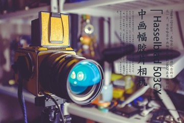 哈苏503CX